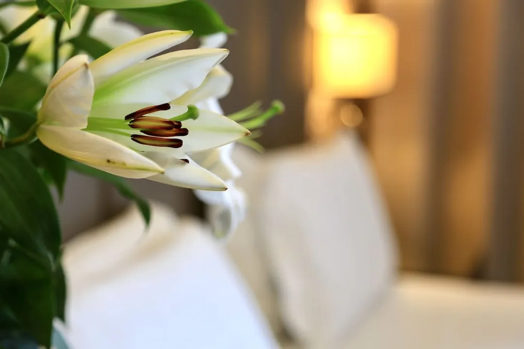 Klima Hotel Milano Fiere-Superior Twin Room-3