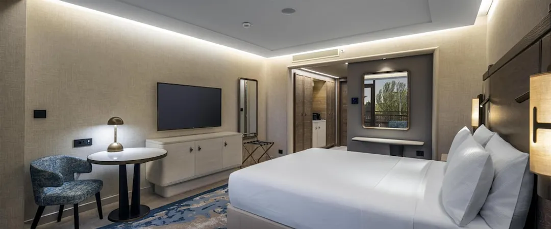 伊斯坦堡博斯普魯斯希爾頓飯店-King Deluxe Room - City View-4
