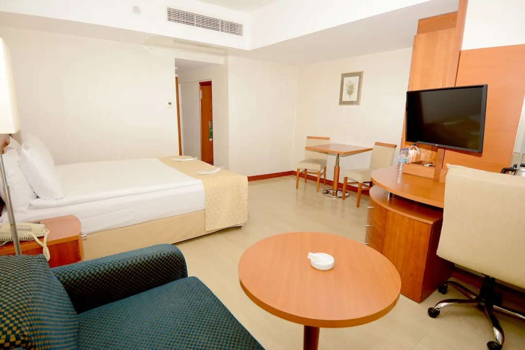 홀리데이 인 이스탄불 시티 바이 IHG-스탠다드룸, 퀸사이즈침대 1개-11