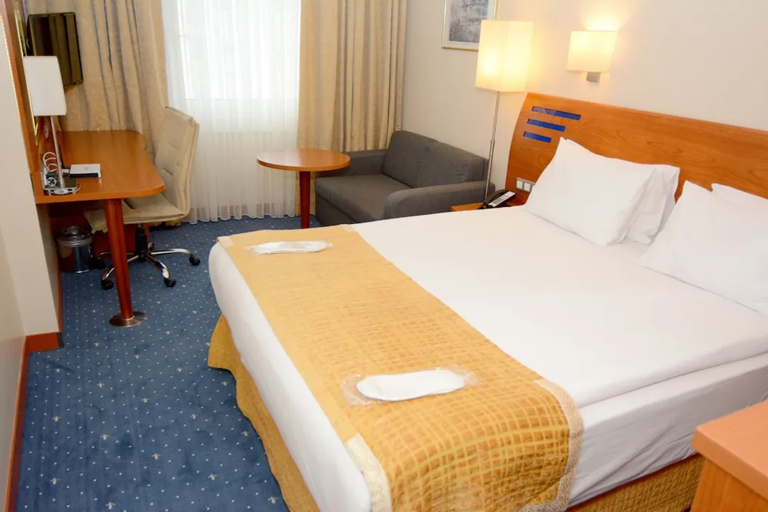 홀리데이 인 이스탄불 시티 바이 IHG-스탠다드룸, 퀸사이즈침대 1개-7