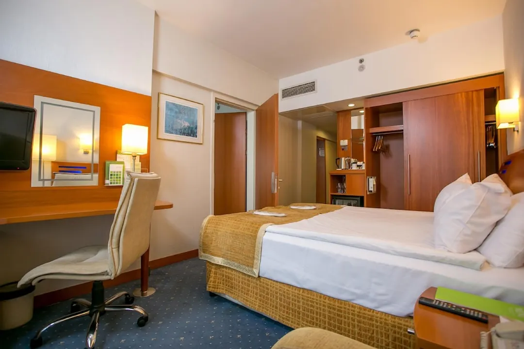 홀리데이 인 이스탄불 시티 바이 IHG-스탠다드룸, 퀸사이즈침대 1개-4