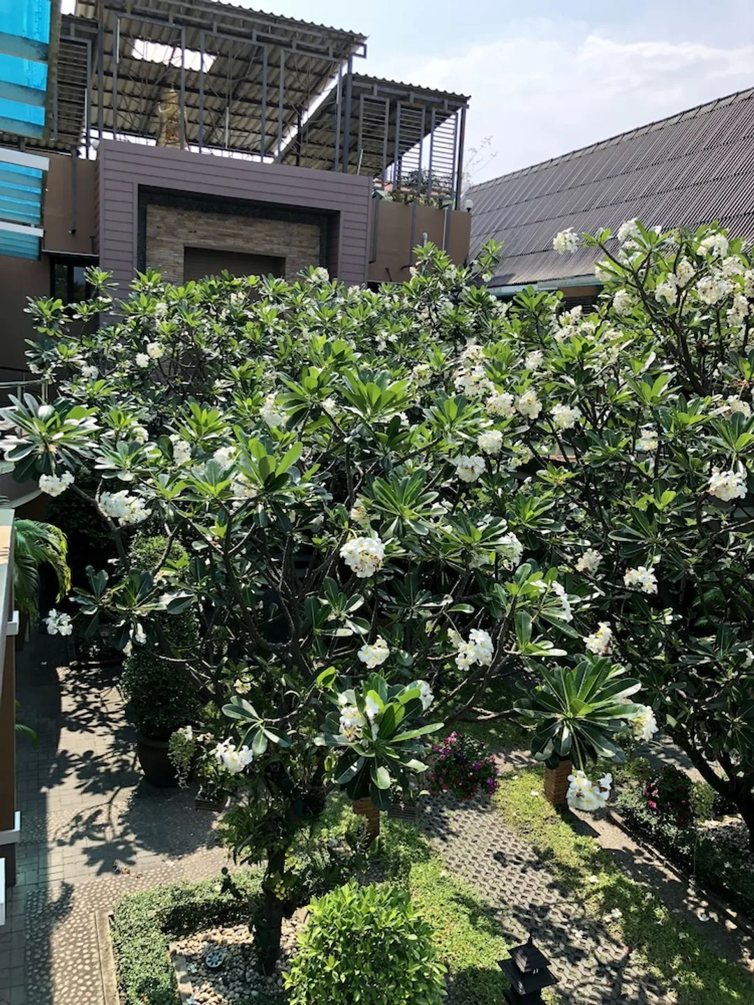 華欣白沙飯店-套房, 1 間臥室, 陽台-13