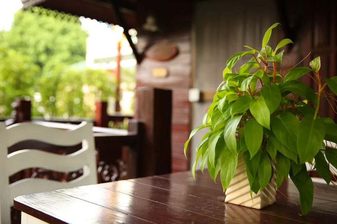 Diana Garden Resort & Lodge-Bungalow (Thai House)-5