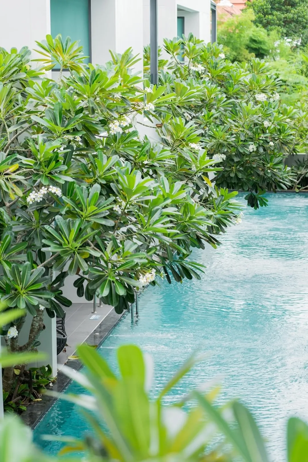 普吉我的海灘度假村 - SHA Extra Plus 認證-豪華客房, 泳池景觀-3