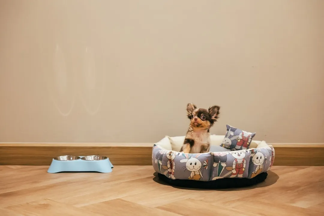 Away Bangkok Riverside Kene-Pet Friendly-2