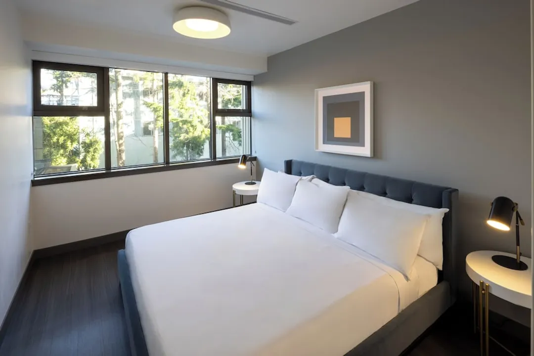 Sonder at Revival-套房, 1 張特大雙人床和 1 張沙發床, 廚房-1