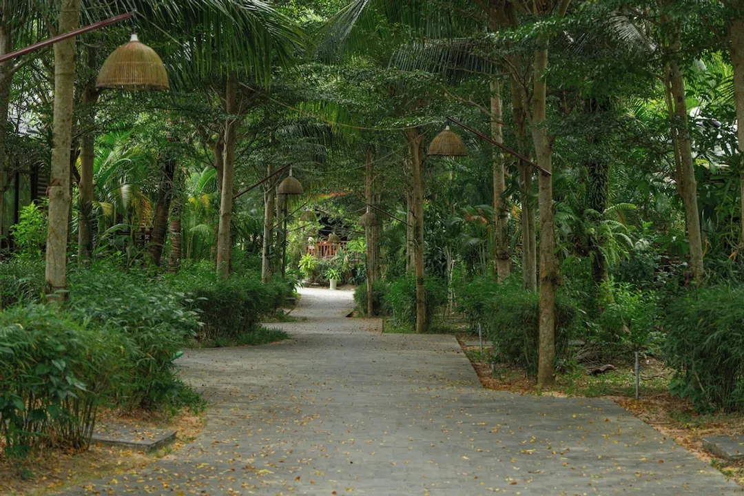 富國刺竹渡假村-洋房, 花園景觀-22