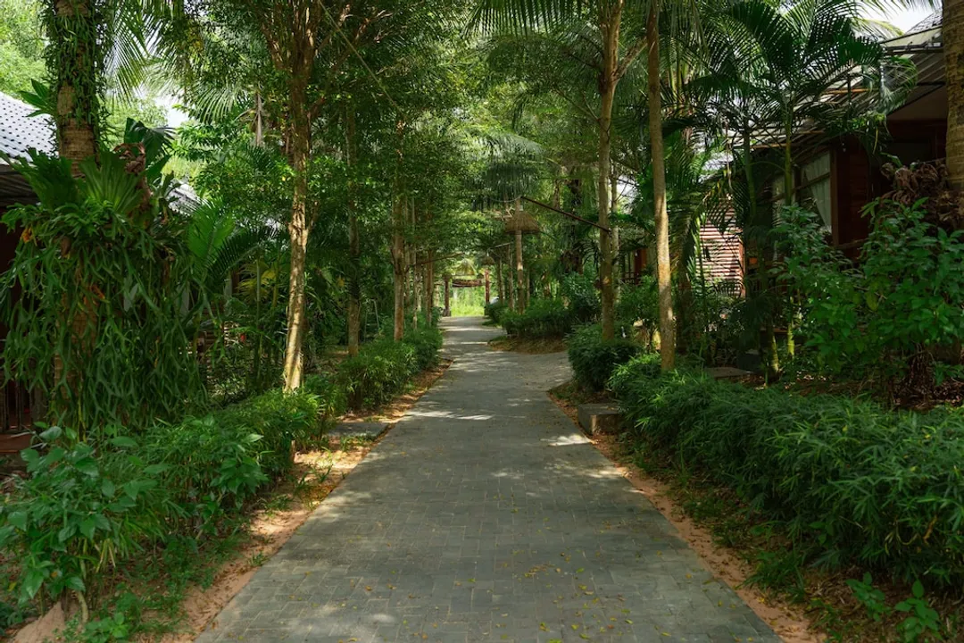 富國刺竹渡假村-洋房, 花園景觀-18
