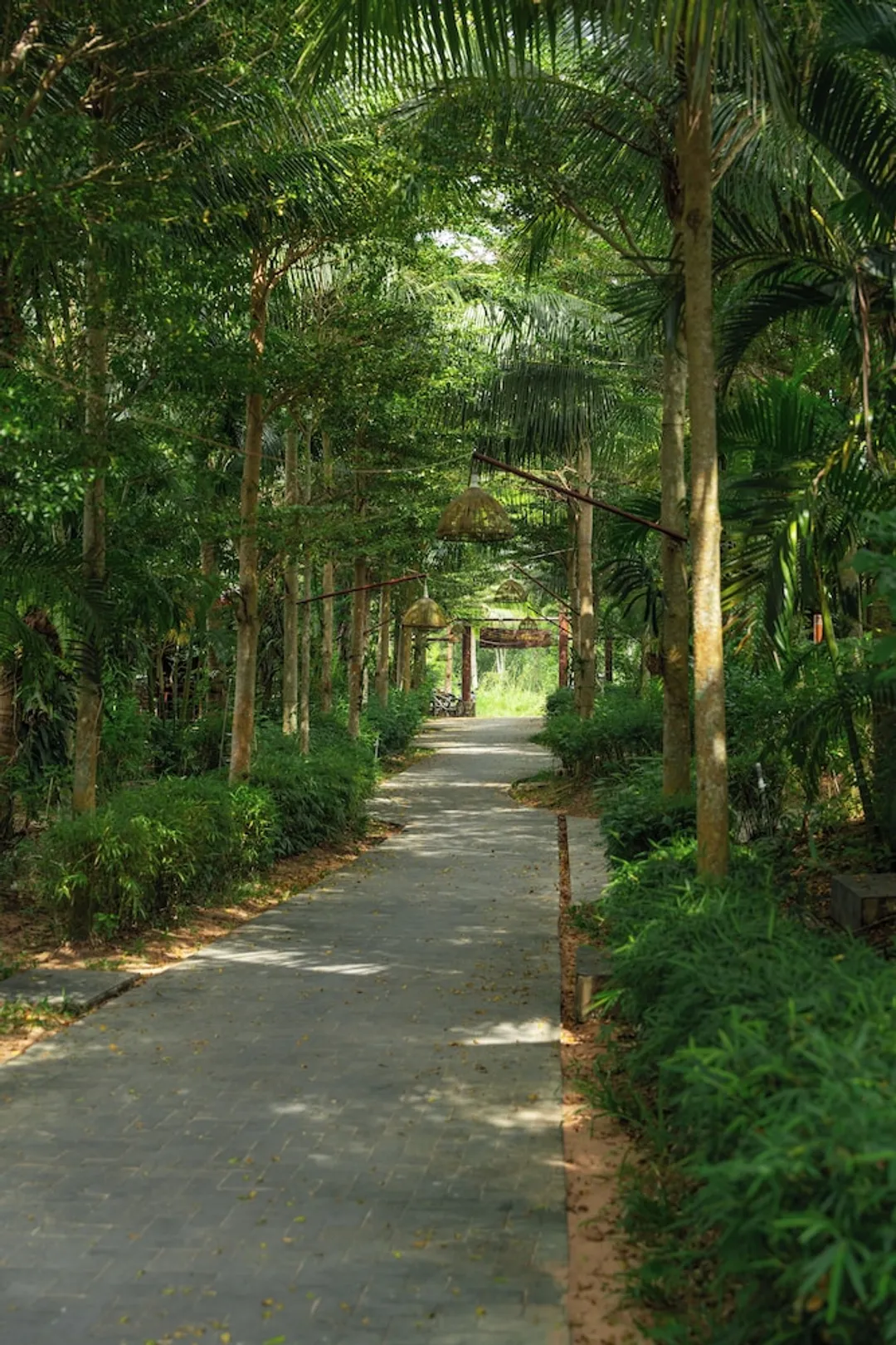 富國刺竹渡假村-洋房, 花園景觀-21