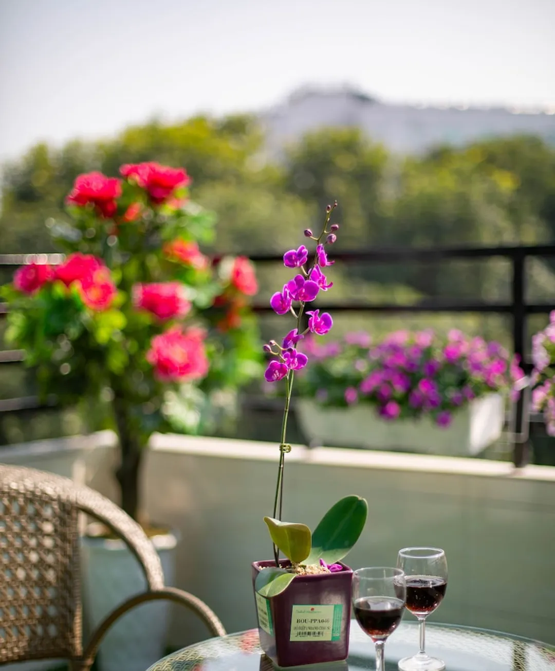 河內蓮花精品飯店-Connecting Rooms, Large Balcony City View-15
