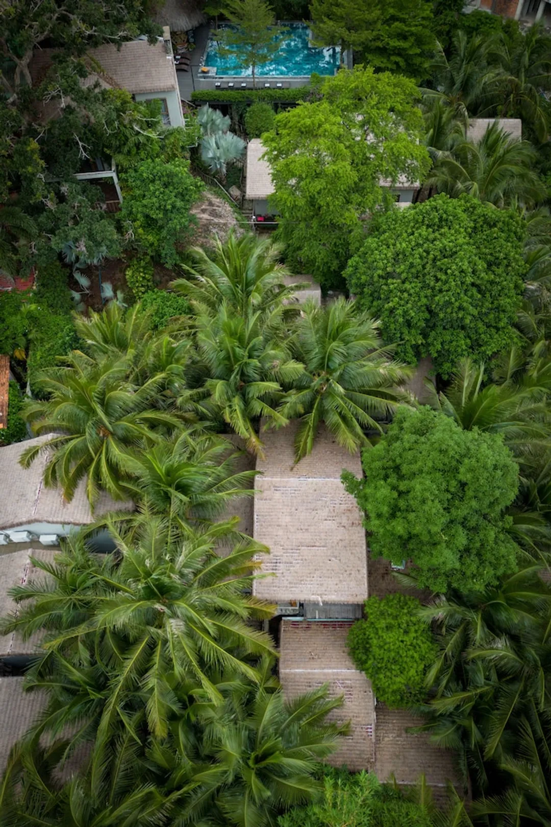 M Village Phu Quoc-Cozy Double room - Tropical Village-4