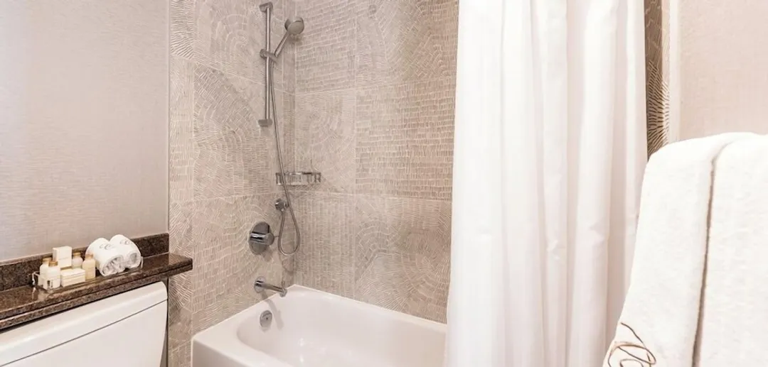 Carmana酒店和套房-Standard 1-Bedroom Suite (1 King)-5