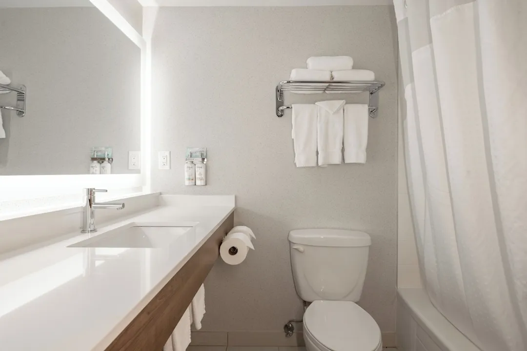 Holiday Inn Express & Suites Surrey by IHG-Standard Room, 1 King Bed with Sofa bed-13