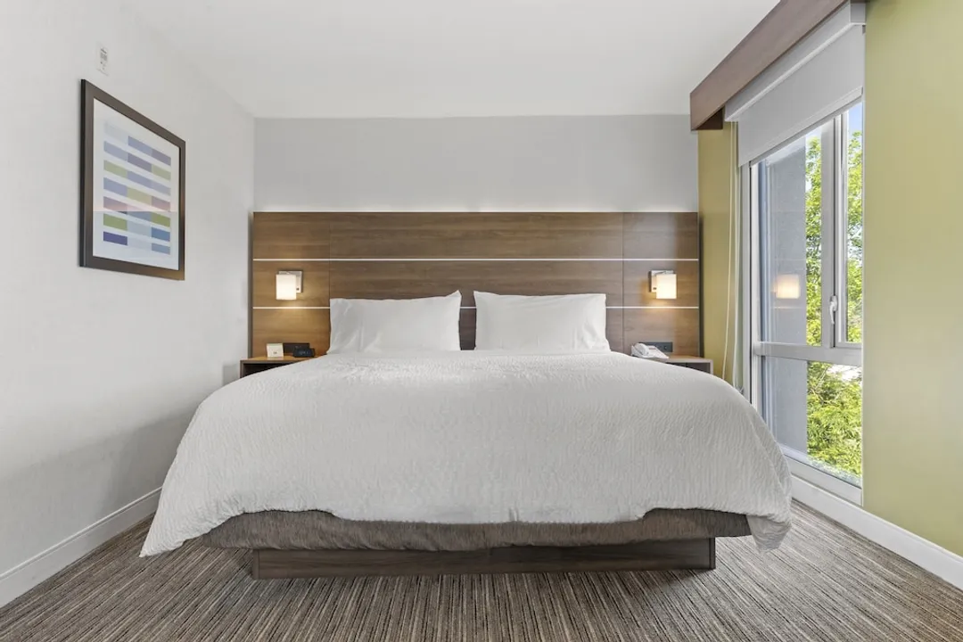 Holiday Inn Express & Suites Surrey by IHG-Suite, 1 King Bed-13