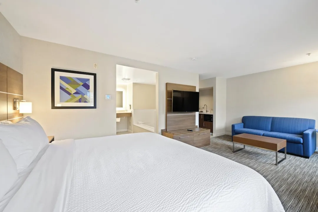Holiday Inn Express & Suites Surrey by IHG-Suite, 1 King Bed-7