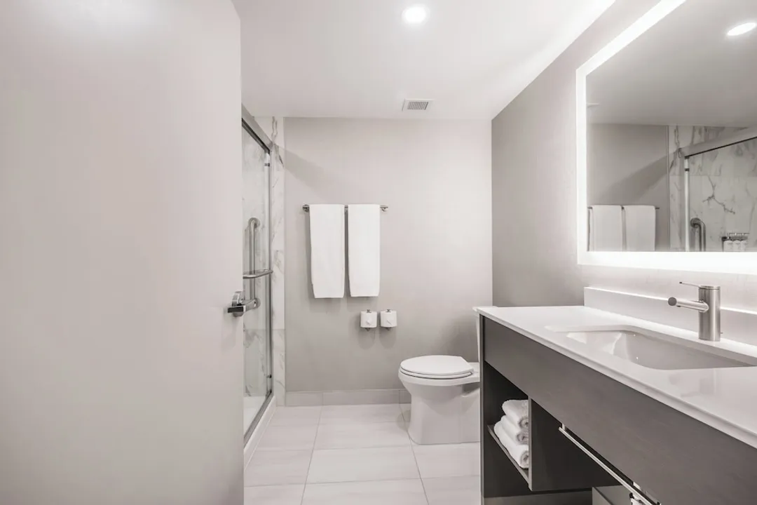 홀리데이 인 익스프레스 앤드 스위트 토론토 에어포트 사우스 바이 IHG-스탠다드룸, 킹사이즈침대 1개-15