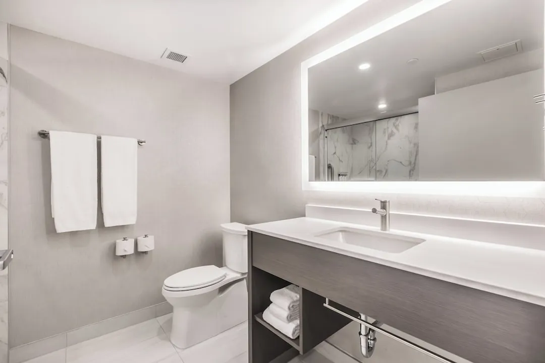 홀리데이 인 익스프레스 앤드 스위트 토론토 에어포트 사우스 바이 IHG-스탠다드룸, 킹사이즈침대 1개-14