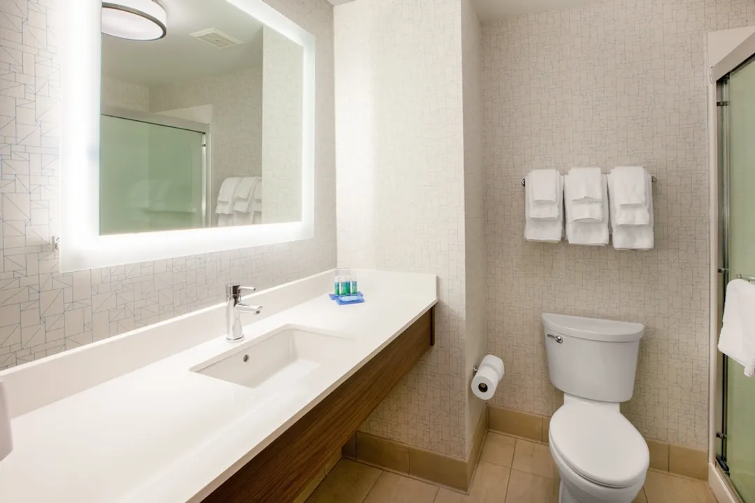 Holiday Inn Express Jamaica - JFK AirTrain - NYC, an IHG Hotel-標準客房-2