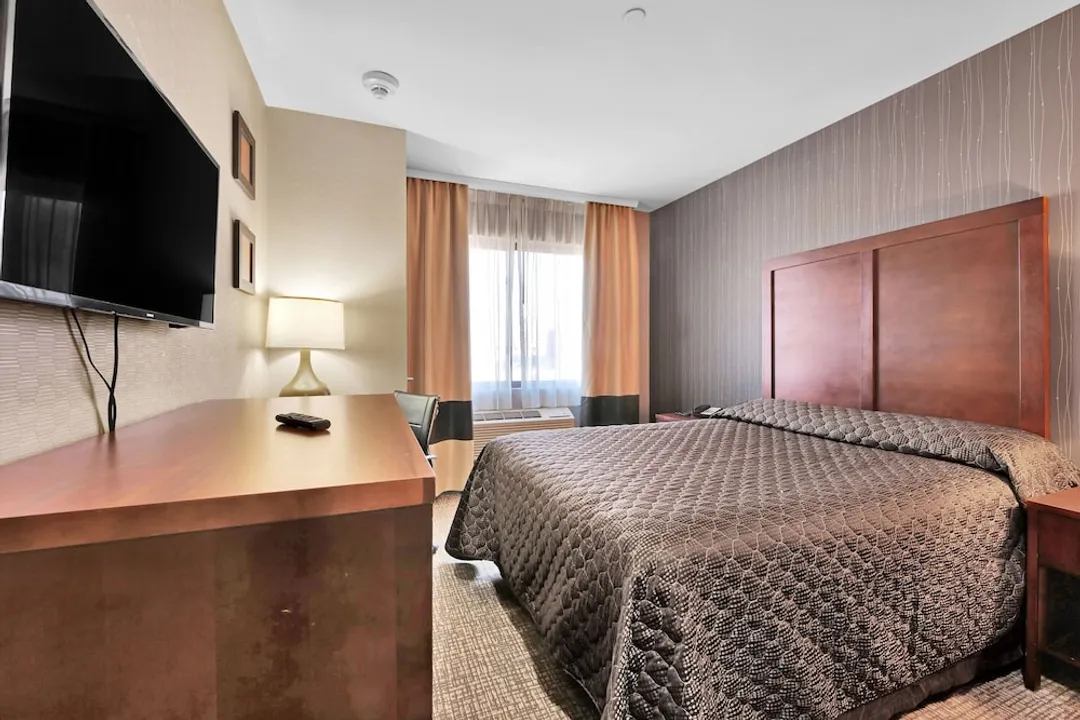 Hotel Pergola JFK Airport-豪華單人房, 非吸煙房-1