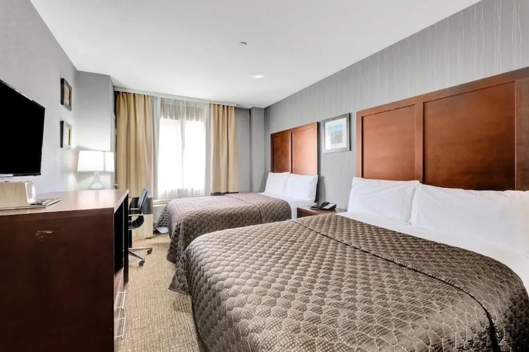 Hotel Pergola JFK Airport-豪華雙人房, 非吸煙房-1
