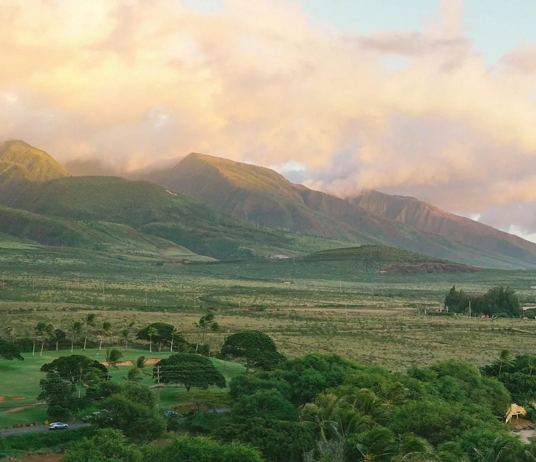 茂宜島凱悅度假村及水療中心-客房, 2 張加大雙人床, 山景-1