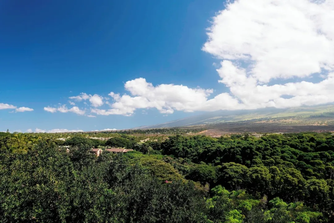 毛伊島萬豪懷里亞海灘渡假村-客房, 1 張特大雙人床和 1 張沙發床, 花園景觀 (Balcony)-3