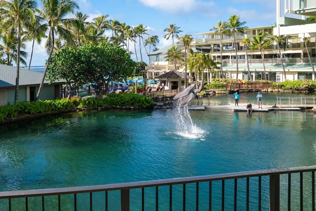 凱海蘭度假村飯店-Dolphin Lanai-2